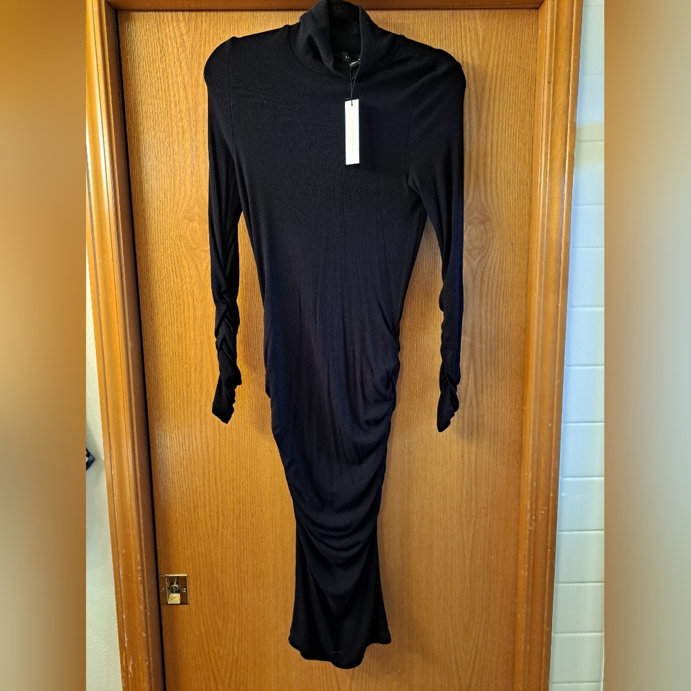 NWT Sanctuary Turtleneck Dress